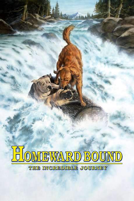 Homeward Bound: The Incredible Journey